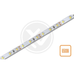 Taśma LED 2835 Premium  5m 300led IP20 6500K-11676