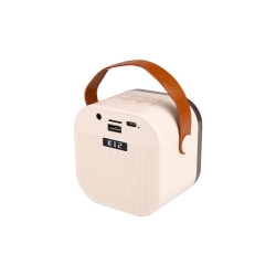 Głośnik Bluetooth przenośny karaoke - 2 mikrofony-32368